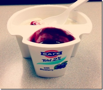 yogurt 2